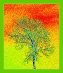 boarder.heatmap.2012 (524 x&nbsp;600)