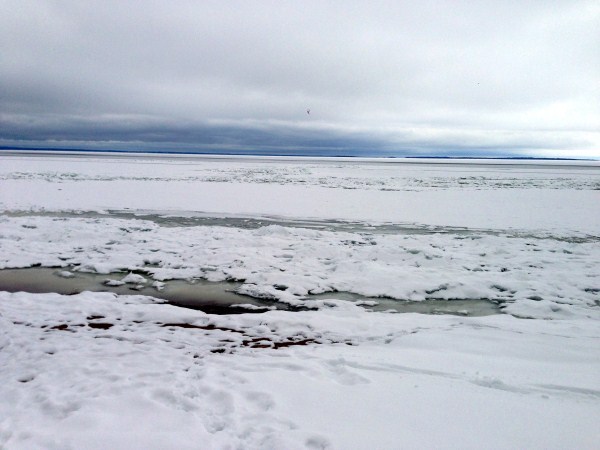 open bits of water.2-12 (600 x 450) (600 x 450)