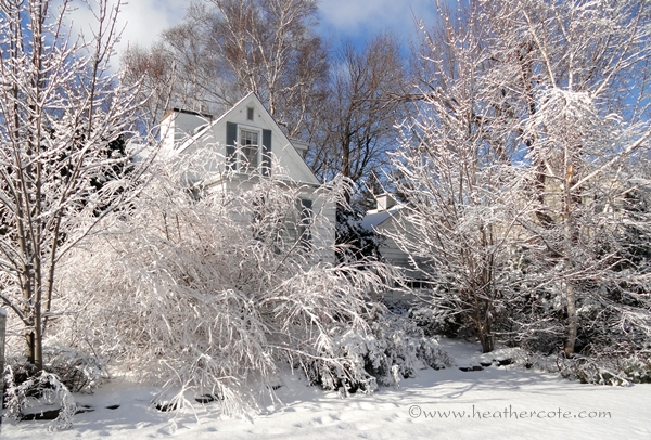 corner house.14.2013.