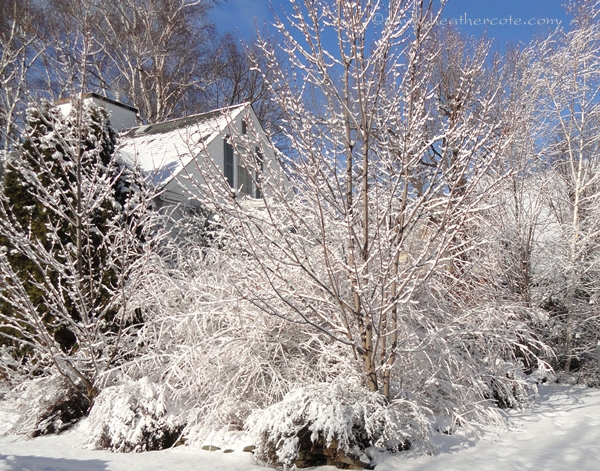 corner house.14.2013