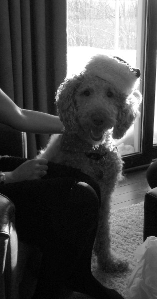 jade xmas 2012 (315 x 600)-001