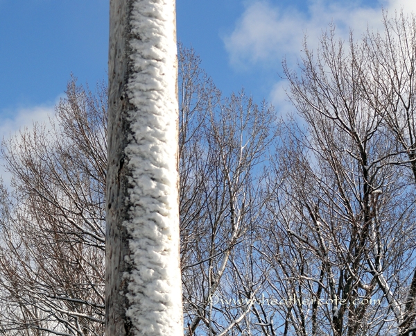 snow on the post.2013