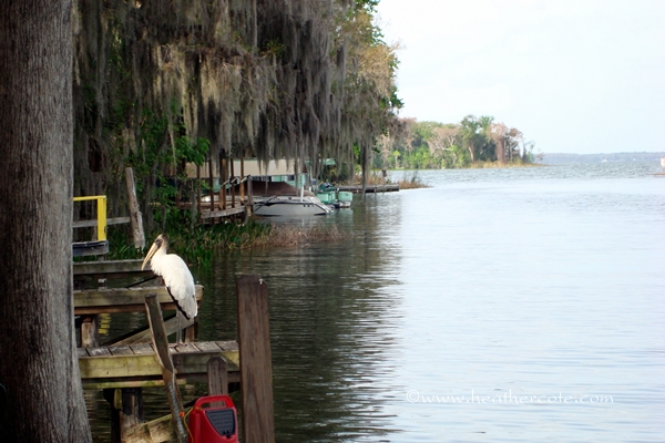Leesburge Florida cropped.2012