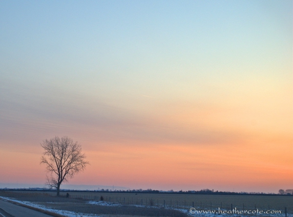 between W.L.sunrise.2013