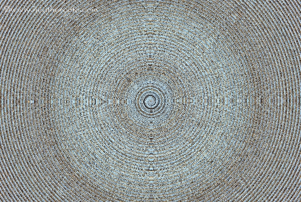 gnarly.branches.2013R.swirl.filter.1