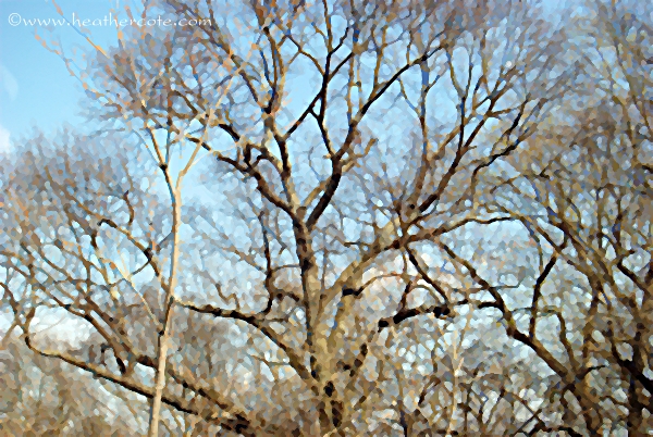 gnarly.branches.2013R.water.painting.filter