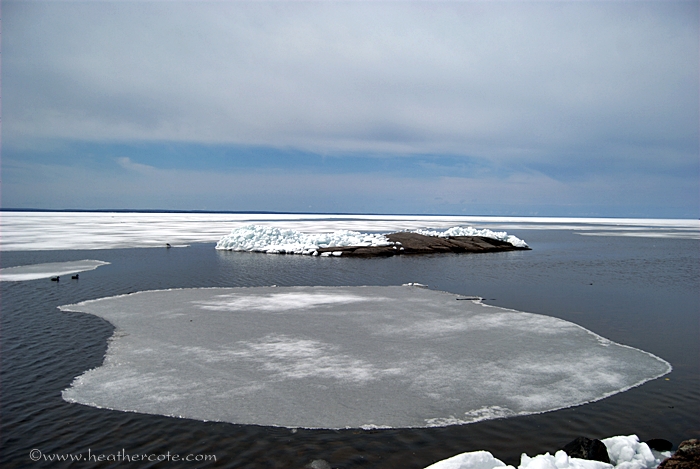 floating.ice.ss.2013