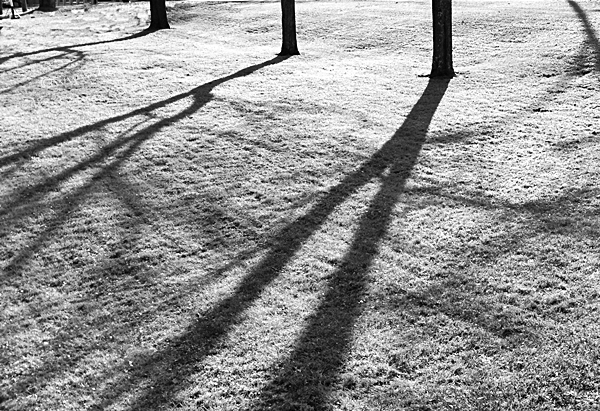 grass A.2012greyscale