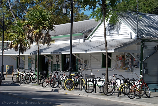 green.parrot.kw.2.2013