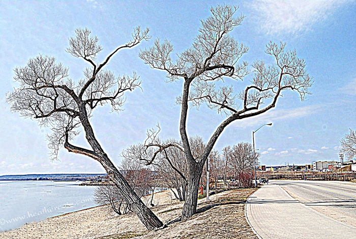 original.HDR-ish.twotrees.2013