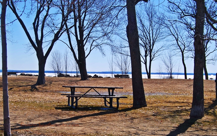 picnic.table.spring.2013