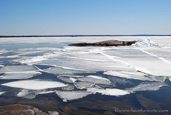 sunset.park.ice.4.21.2013.2