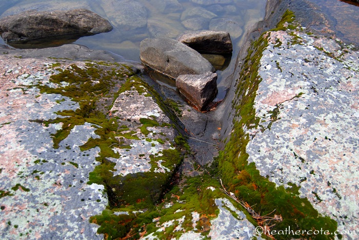 rocks.moss.water.2013