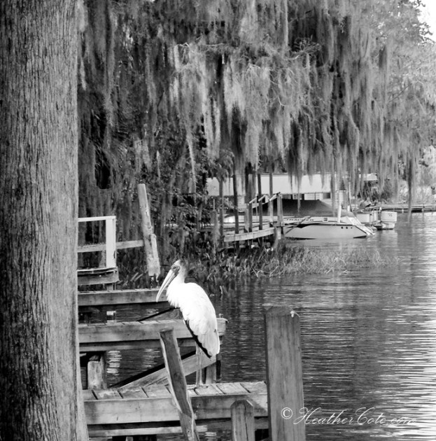 ...Leesburg Florida....2013