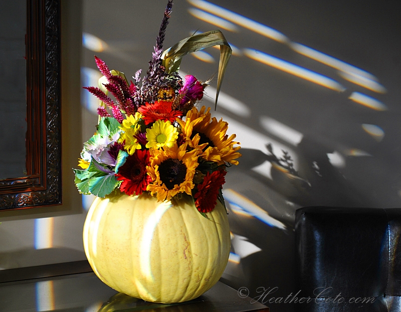 springhill.center piec2.2013