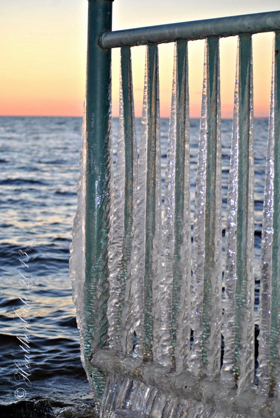 ice.fence.2.2013