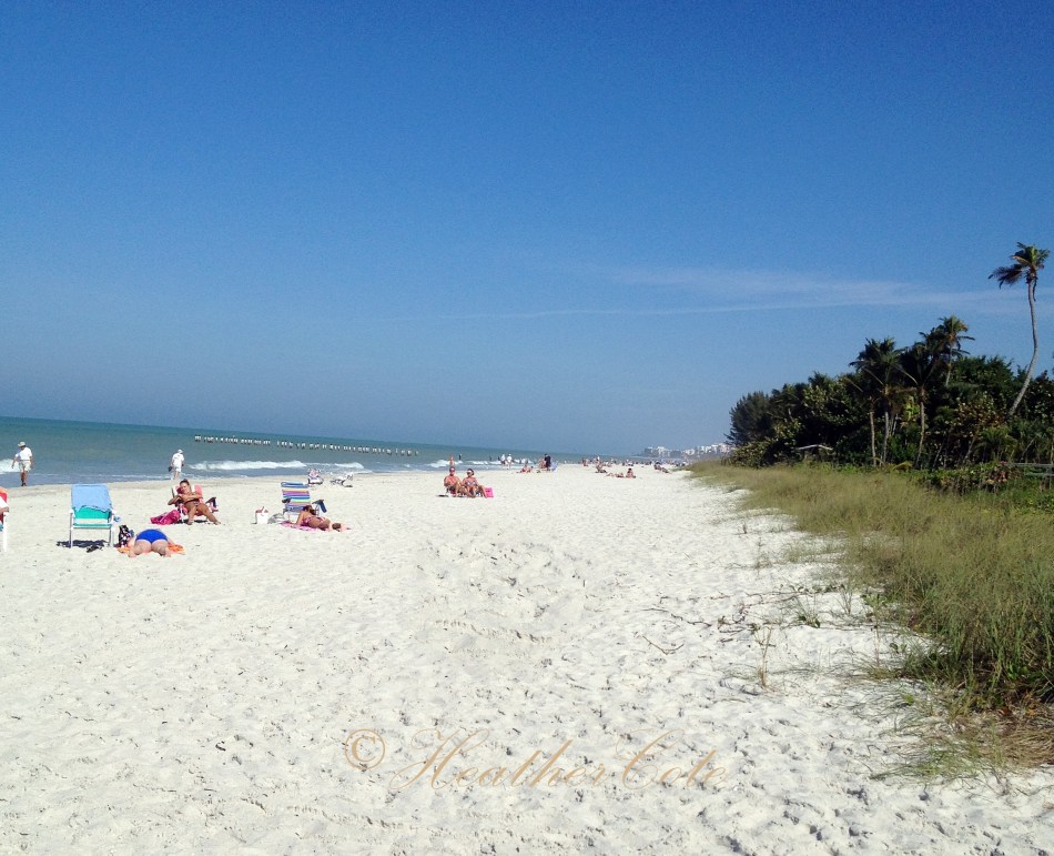 one.beach.marco.2012