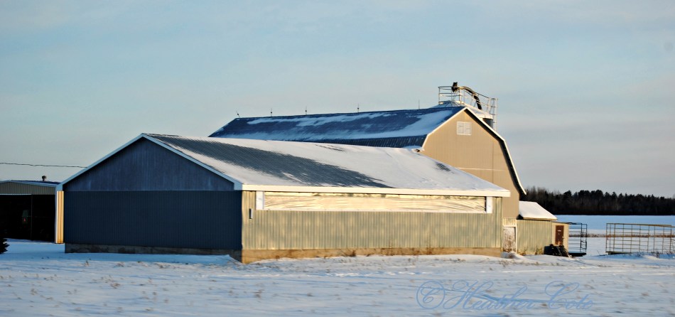 red.barn.2.2014
