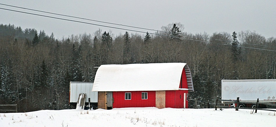 red.barn.7.2014
