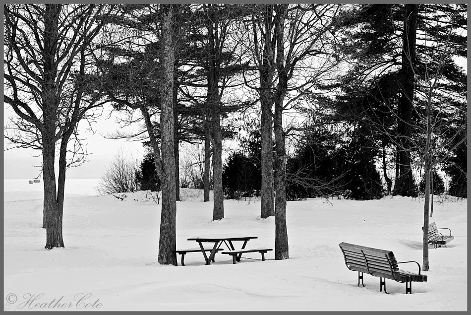 wpwinter.sunset.park.2014b&wb