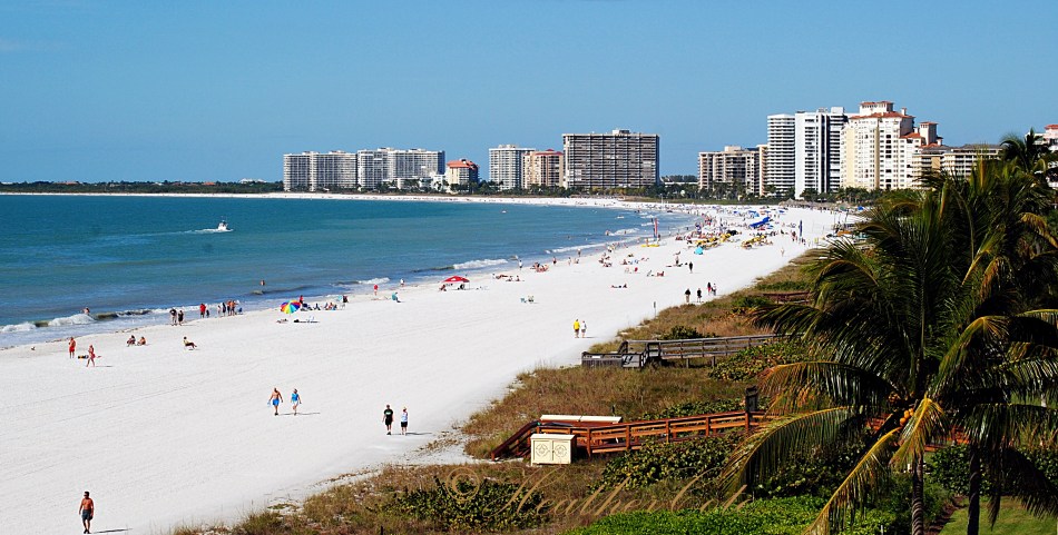 right.view.marco.2014