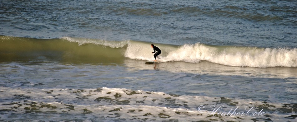 surfer.3.marco.2014...