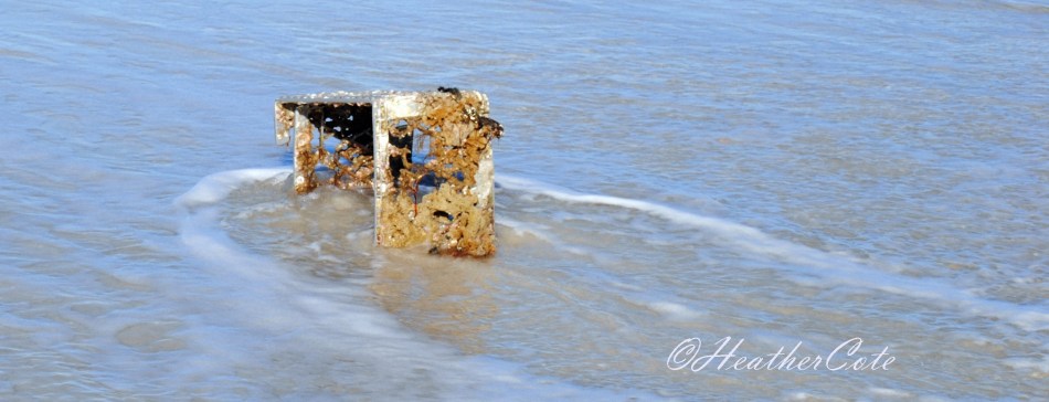 treasures.marco2.2014...