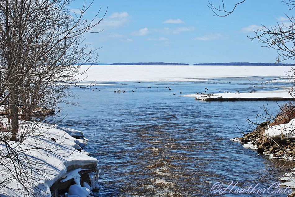 creek.flowing.2014.4.17