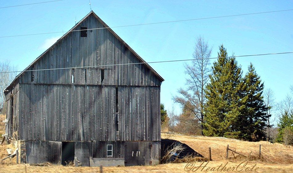 old barn.to rosseau.2014