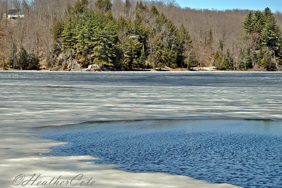 to.rosseau.april.2014