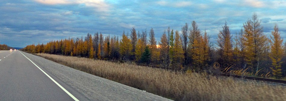 drive.to.sudbury.4.oct.27.2014