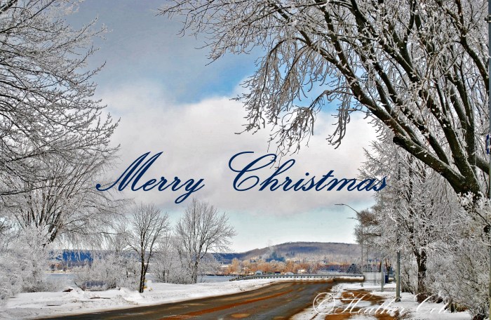 ...merry.christmas.2013...